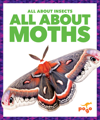 All about Moths - Golriz Golkar