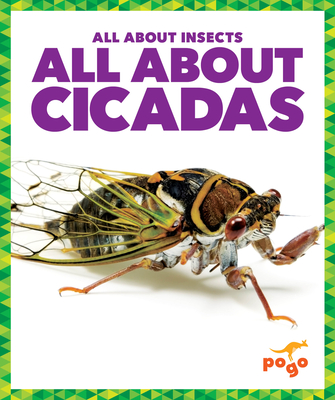 All about Cicadas - Golriz Golkar