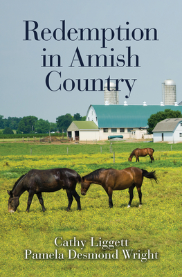 Redemption in Amish Country - Cathy Liggett