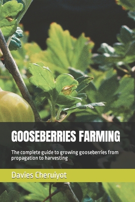 Gooseberries Farming: The complete guide to growing gooseberries from propagation to harvesting - Davies Cheruiyot