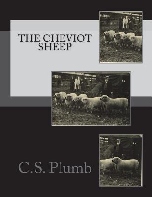 The Cheviot Sheep - Jackson Chambers