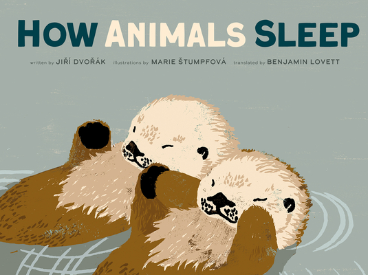 How Animals Sleep - Jiri Dvorak