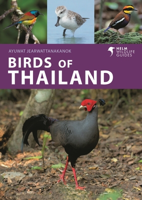 Birds of Thailand - Ayuwat Jearwattanakanok