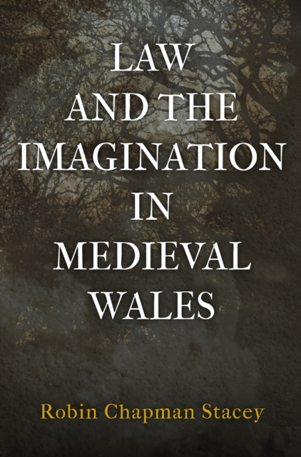 Law and the Imagination in Medieval Wales - Robin Chapman Stacey