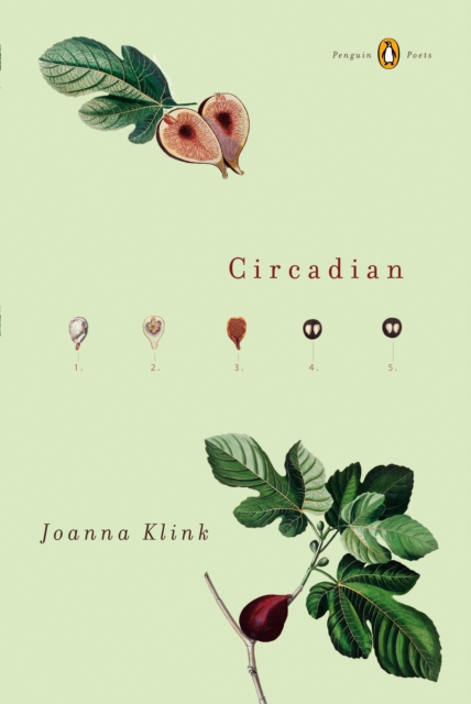 Circadian - Joanna Klink