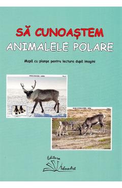Poza produsului Sa cunoastem animalele polare - Daniela Dosa