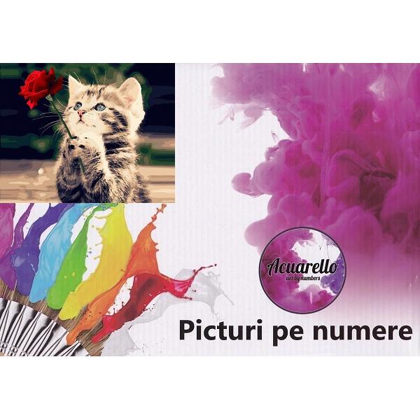 Pictura pe numere: Pisica si trandafir