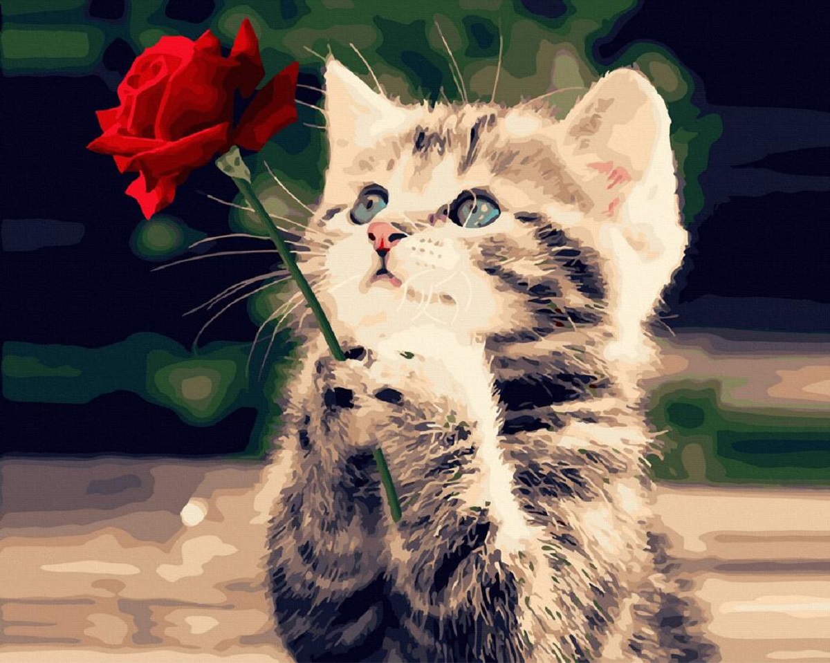 Pictura pe numere: Pisica si trandafir
