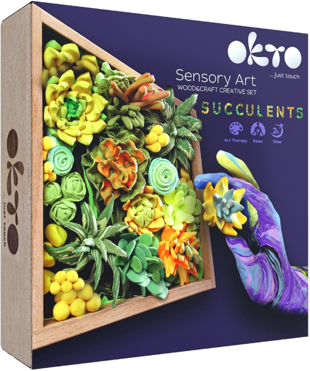 Set creativ: Succulents Energy