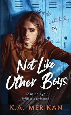 Not Like Other Boys: (M/M bully romance) - K. A. Merikan