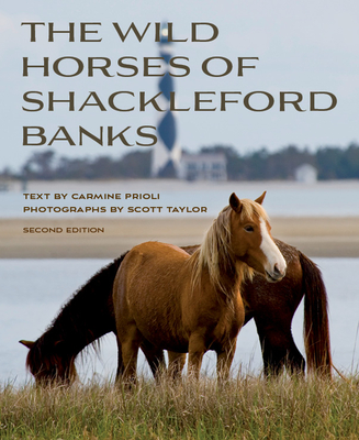 Wild Horses of Shackleford Banks - Carmine Prioli