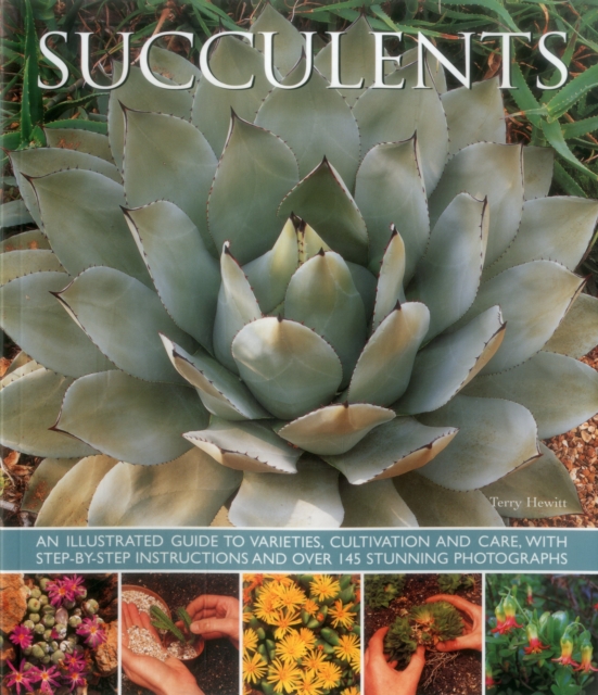 Succulents: An Illustrated Guide to Varieties, Cultivation and Care, with Step-By-Step Instructions and Over 145 Stunning Photogra - Terry Hewitt