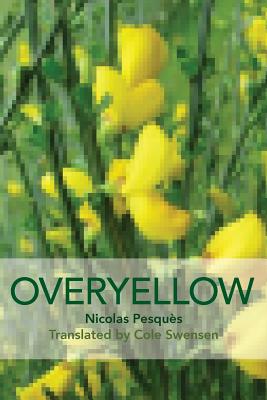 Overyellow: The Poem as Installation Art - Nicholas Pesquès