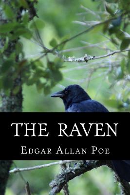 The Raven - Edgar Allan Poe