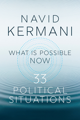 What Is Possible Now: 33 Political Situations - Navid Kermani