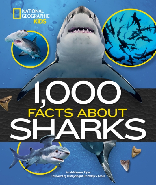 1,000 Facts about Sharks - Sarah Wassner Flynn