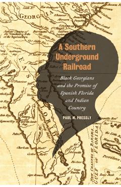 A Southern Underground Railroad: Black Georgians and the Promise of Spanish Florida and Indian Country - Paul M. Pressly