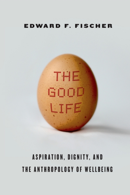 The Good Life: Aspiration, Dignity, and the Anthropology of Wellbeing - Edward F. Fischer