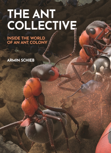 The Ant Collective: Inside the World of an Ant Colony - Armin Schieb