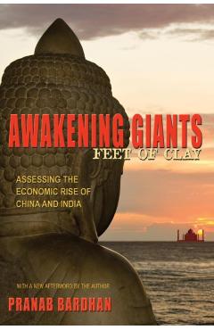 Awakening Giants, Feet of Clay: Assessing the Economic Rise of China and India - Pranab Bardhan