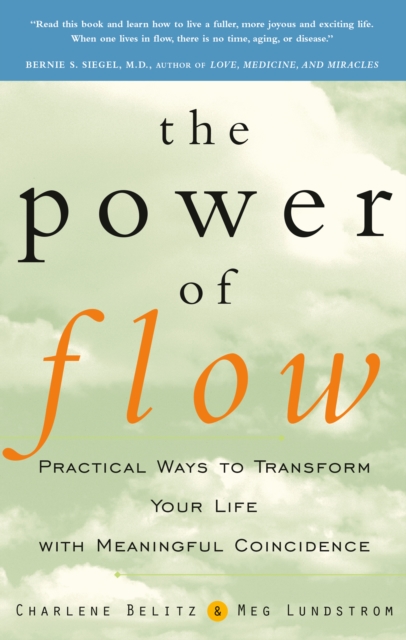 The Power of Flow: Practical Ways to Transform Your Life with Meaningful Coincidence - Charlene Belitz
