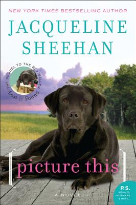 Picture This - Jacqueline Sheehan