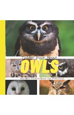 Poza produsului Toddler Book About Owls: A Picture Book for Preschoolers - Busy Hands Books