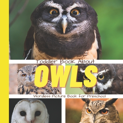 Toddler Book About Owls: A Picture Book for Preschoolers - Busy Hands Books