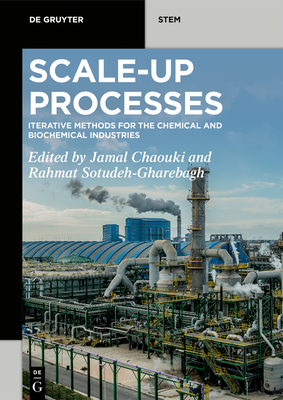 Scale-Up Processes: Iterative Methods for the Chemical, Mineral and Biological Industries - Jamal Chaouki