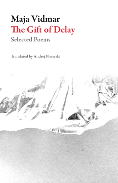 The Gift of Delay: Selected Poems - Maja Vidmar