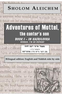 Coperta cărții 'From the Home to America - Sholem Aleichem'