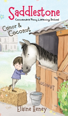Saddlestone Connemara Pony Listening School Conor and Coconut - Elaine Heney