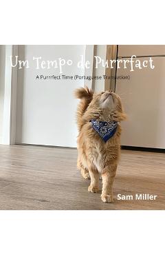 Poza produsului Um Tempo de Purrrfact - Sam Miller