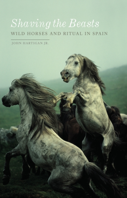 Shaving the Beasts: Wild Horses and Ritual in Spain - John Hartigan Jr