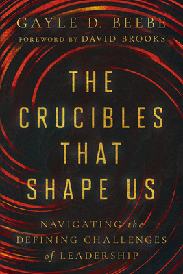 The Crucibles That Shape Us: Navigating the Defining Challenges of Leadership - Gayle D. Beebe