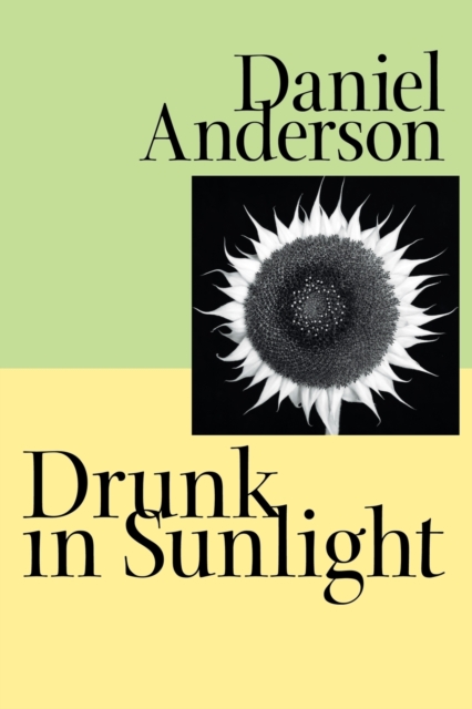 Drunk in Sunlight - Daniel Anderson