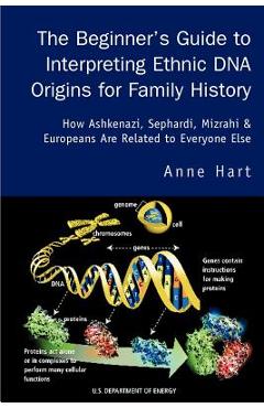 The Beginner's Guide to Interpreting Ethnic DNA Origins for Family History: How Ashkenazi, Sephardi, Mizrahi & Europeans Are Related to Everyone Else