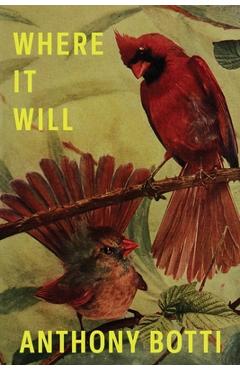 Where It Will - Anthony Botti