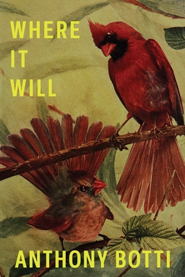 Coperta cărții 'Where It Will - Anthony Botti'