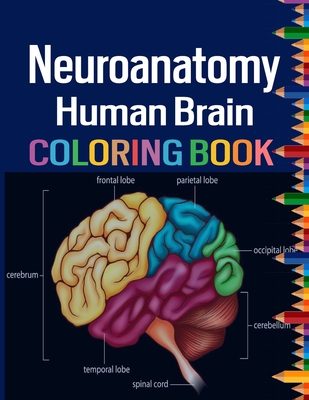 Neuroanatomy Human Brain Coloring Book: Colorful introduction to the anatomy of the human brain model for neuroscience - Ellatripper Armanday