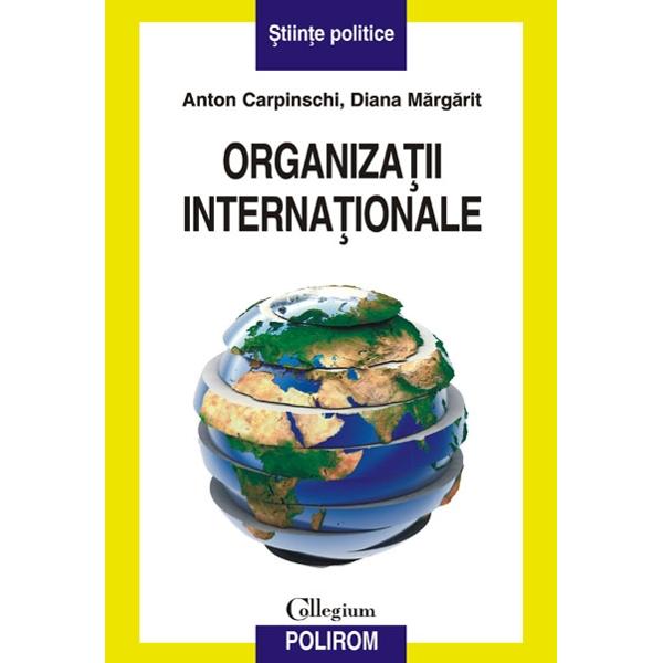 Organizatii internationale - Anton Carpinschi, Diana Margarit