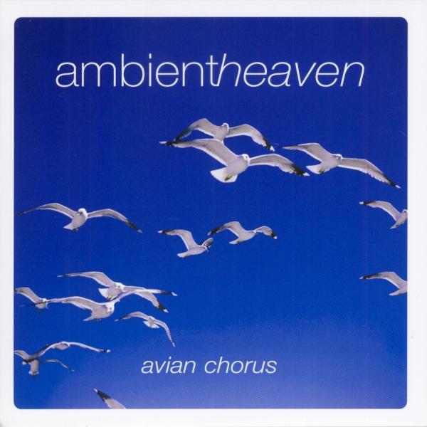 Imaginea produsului 'CD Ambient heaven - Avian chorus'