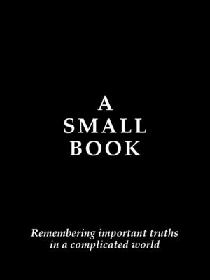 Coperta cărții 'A Small Book: Remembering Important Truths in a Complicated World - B. Nester'