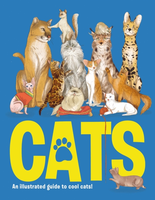 Cats: An Illustrated to Guide to Cool Cats - Eliza Jeffery