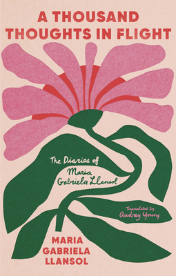 A Thousand Thoughts in Flight - Maria Gabriela Llansol