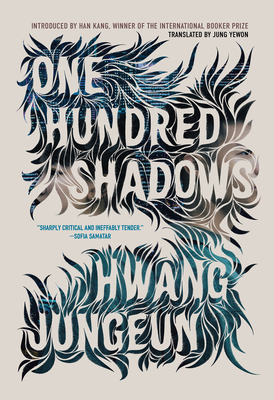 One Hundred Shadows - Hwang Jungeun