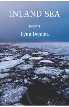 Inland Sea - Lynn Domina