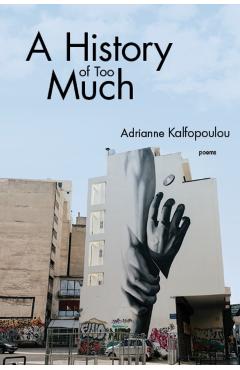 Coperta cărții 'A History of Too Much - Adrianne Kalfopoulou'