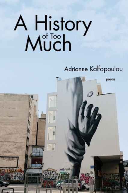 Coperta cărții 'A History of Too Much - Adrianne Kalfopoulou'
