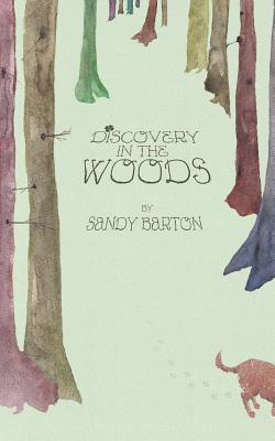 Coperta cărții 'Discovery In The Woods: A St. Patrick's Day Surprise - Sandy Barton'